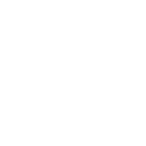 NBA Foundation logo